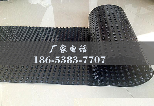 排水板廠家http://m.wxrjzc.com/