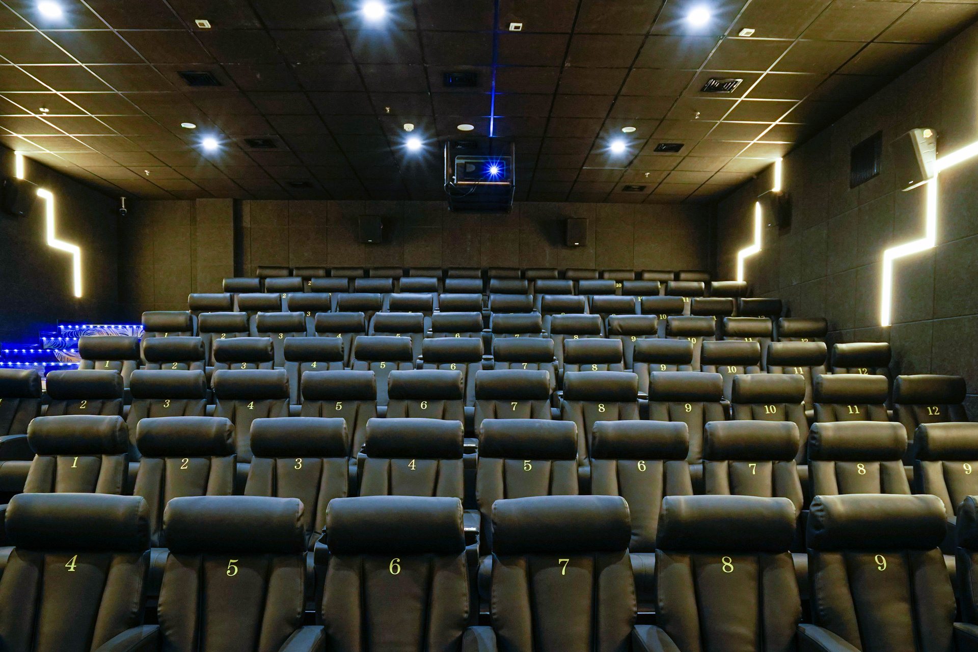 毒舌影视app下载安装